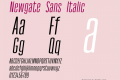 Newgate Sans