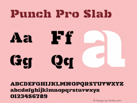 Punch Pro Slab