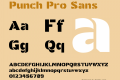 Punch Pro Sans