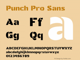 Punch Pro Sans