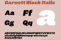 Garnett Black