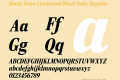 Rocky Extra Condensed Black Italic