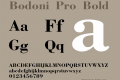 Bodoni Pro