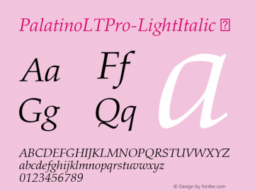 PalatinoLTPro-LightItalic