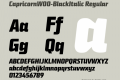 CapricornW00-BlackItalic