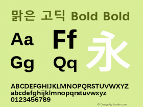 맑은 고딕 Bold