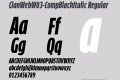 ClanWebW03-CompBlackItalic