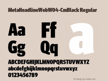 MetaHeadlineWebW04-CmBlack