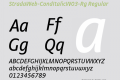 StradaWeb-CondItalicW03-Rg