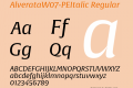 AlverataW07-PEItalic