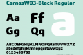 CarnasW03-Black