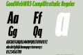 GoodWebW03-CompUltraItalic