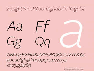 FreightSansW00-LightItalic