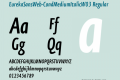 EurekaSansWeb-CondMediumItalicW03