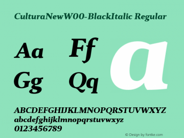 CulturaNewW00-BlackItalic