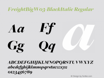 FreightBigW03-BlackItalic