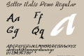 Setter Italic Demo