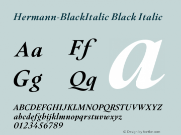 Hermann-BlackItalic