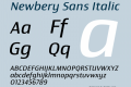 Newbery Sans