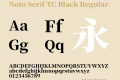 Noto Serif TC Black