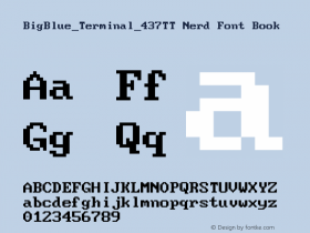 BigBlue_Terminal_437TT Nerd Font