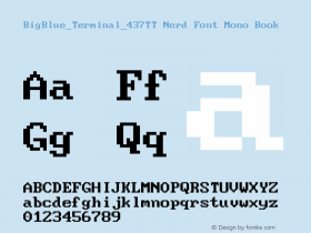 BigBlue_Terminal_437TT Nerd Font Mono