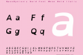 OpenDyslexic Nerd Font Mono