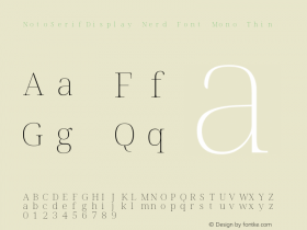 NotoSerifDisplay Nerd Font Mono