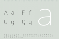 NotoSansMono Nerd Font Mono