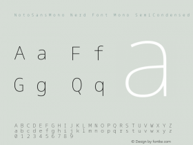 NotoSansMono Nerd Font Mono