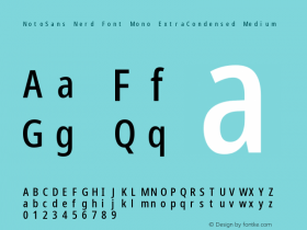 NotoSans Nerd Font Mono