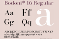 Bodoni* 16