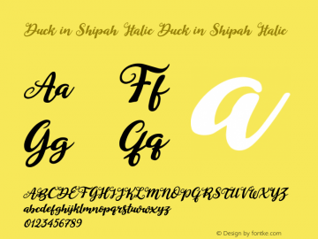 Duck in Shipah Italic