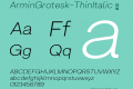 ArminGrotesk-ThinItalic