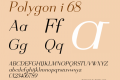 Polygon i