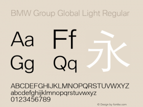 BMW Group Global Light