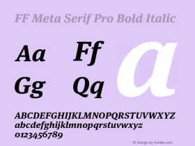 FF Meta Serif Pro