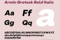 Armin Grotesk