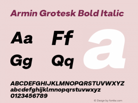 Armin Grotesk