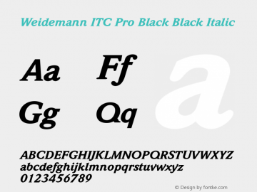 Weidemann ITC Pro Black