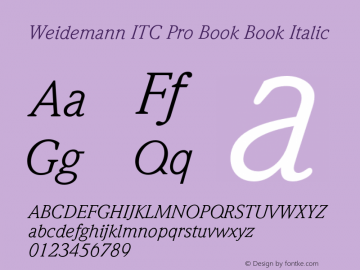 Weidemann ITC Pro Book