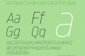 Amfibia Condensed