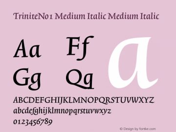 TriniteNo1 Medium Italic