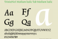 TriniteNo1 Medium Italic Tab