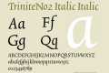 TriniteNo2 Italic