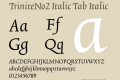 TriniteNo2 Italic Tab