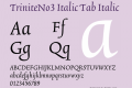 TriniteNo3 Italic Tab