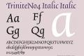 TriniteNo4 Italic