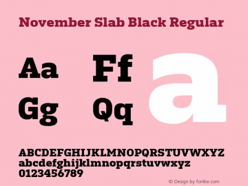 November Slab Black