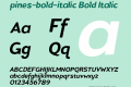 pines-bold-italic